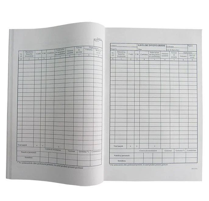 LISTA INVENTAR VERTICAL 9 COLOANE LISTA INVENTAR VERTICAL 9 COLOANE